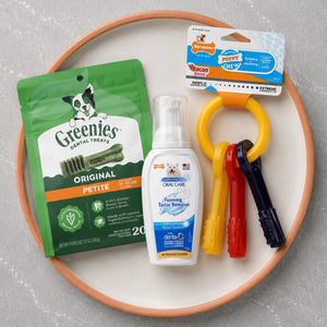 Dental Care