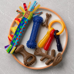 Dental Chew Toys