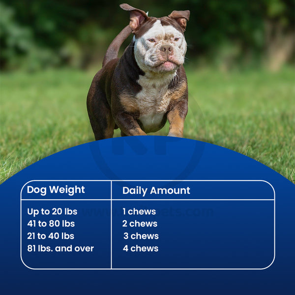Directions to Use of Evolutions by NaturVet Probiotic Plus Superfoods Digestive Support Soft Chews for Dogs 90 Count 6.9-oz