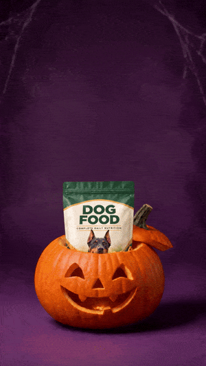 Dog Food