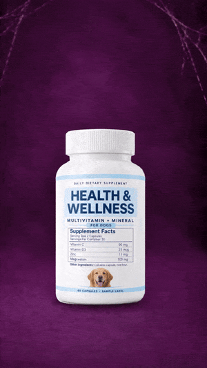 Dog Health & Wellness