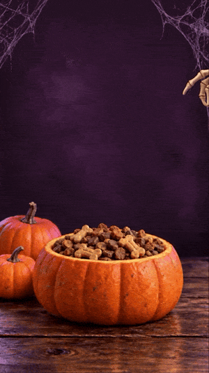 Dog Treats & Chews
