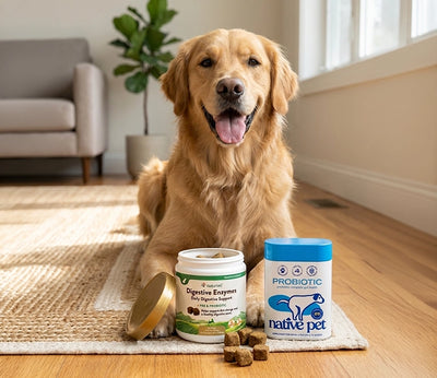 Digestive Supplement