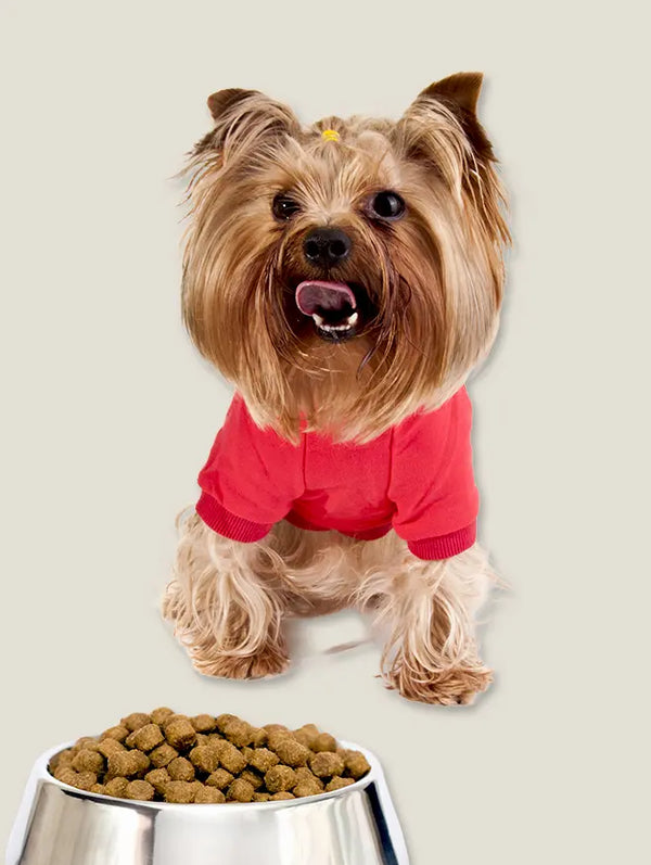 Dog Food