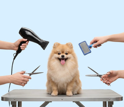 Grooming Supplies