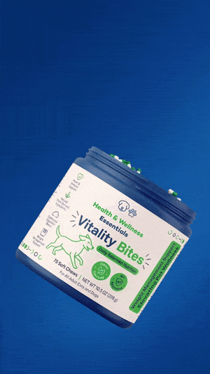 Dog Health & Wellness