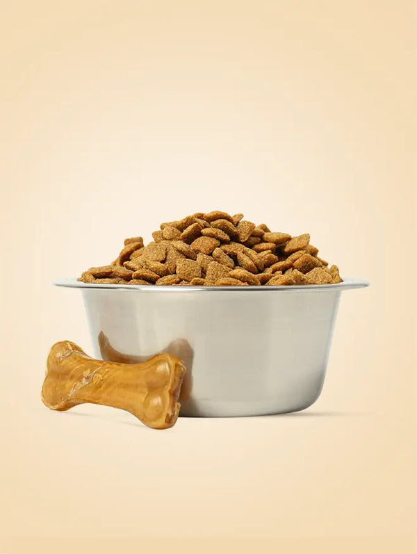 Dog Treats & Chews