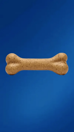Dog Treats & Chews