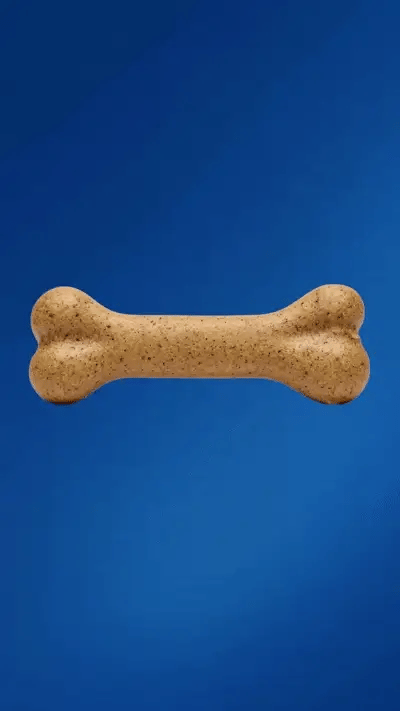 Dog Treats & Chews