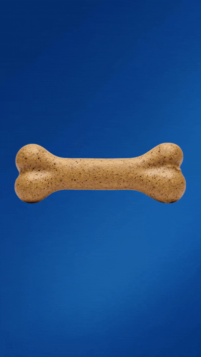 Dog Treats & Chews