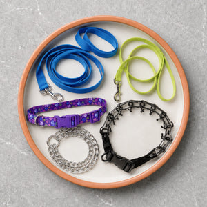 Collars, Harnesses & Leashes