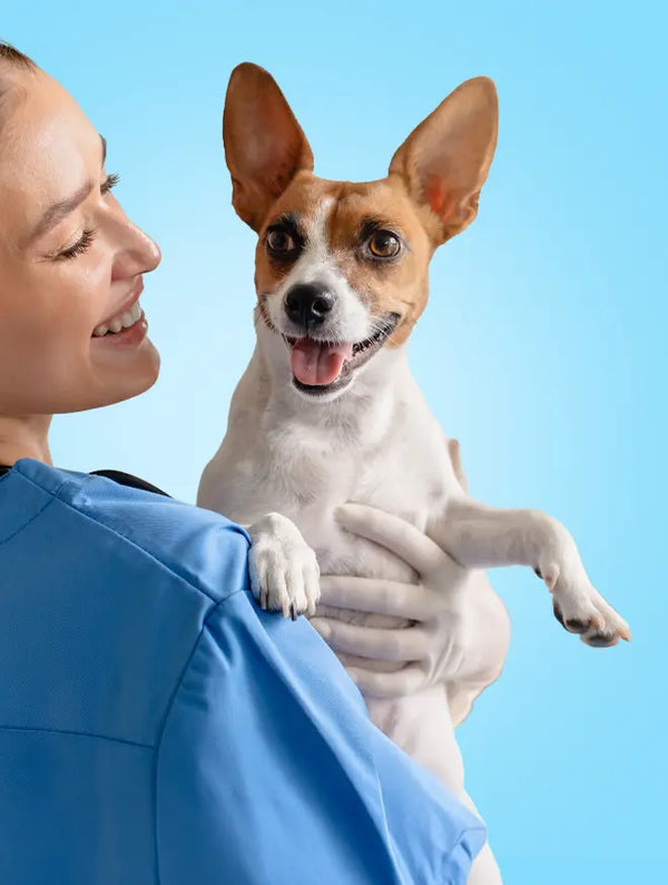 Dog Health & Wellness