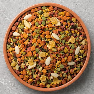 Conure Food