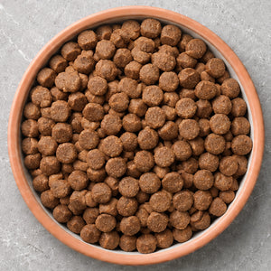 Dry Food