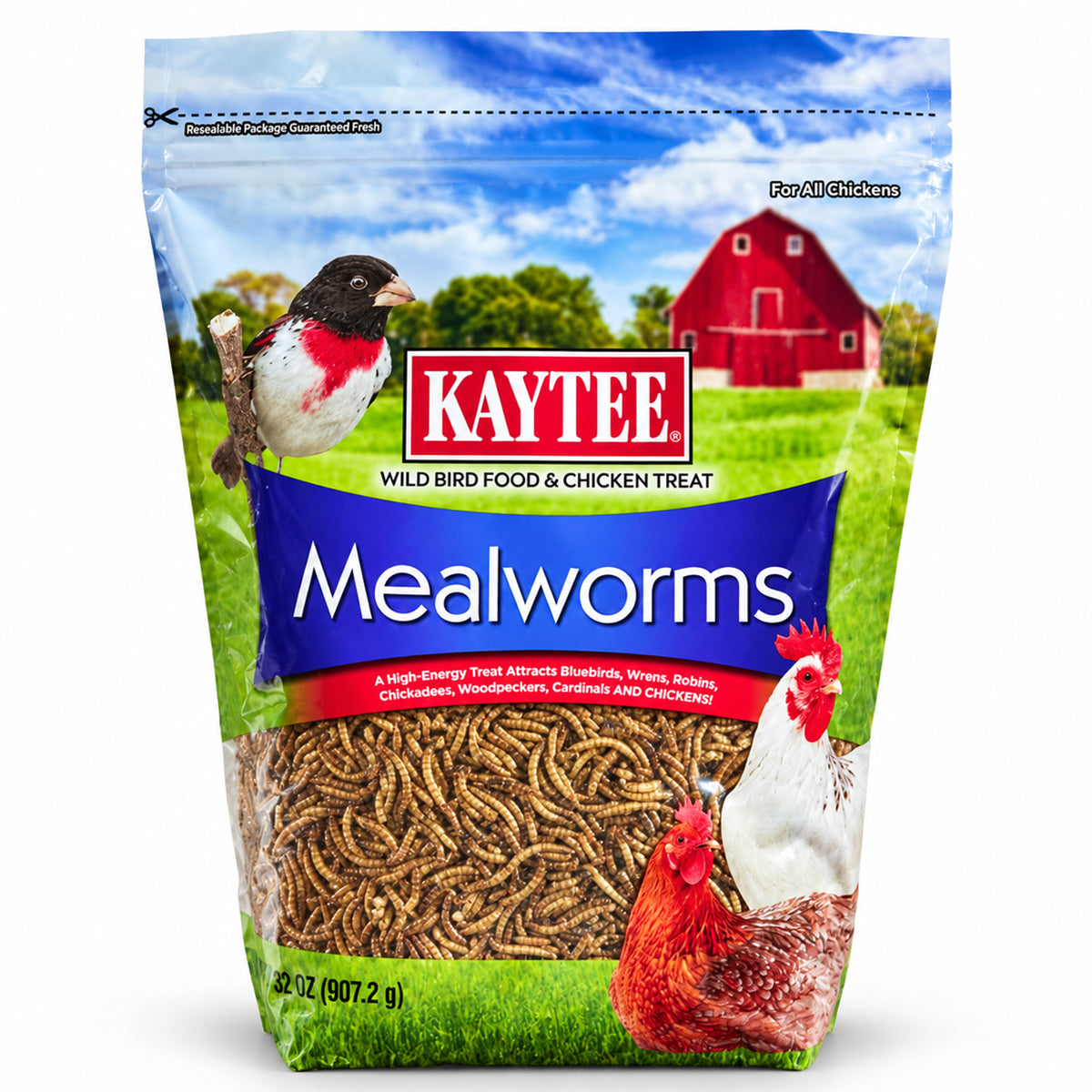 Front of Kaytee Mealworms Wild Bird Food & Chicken Treat 32-oz
