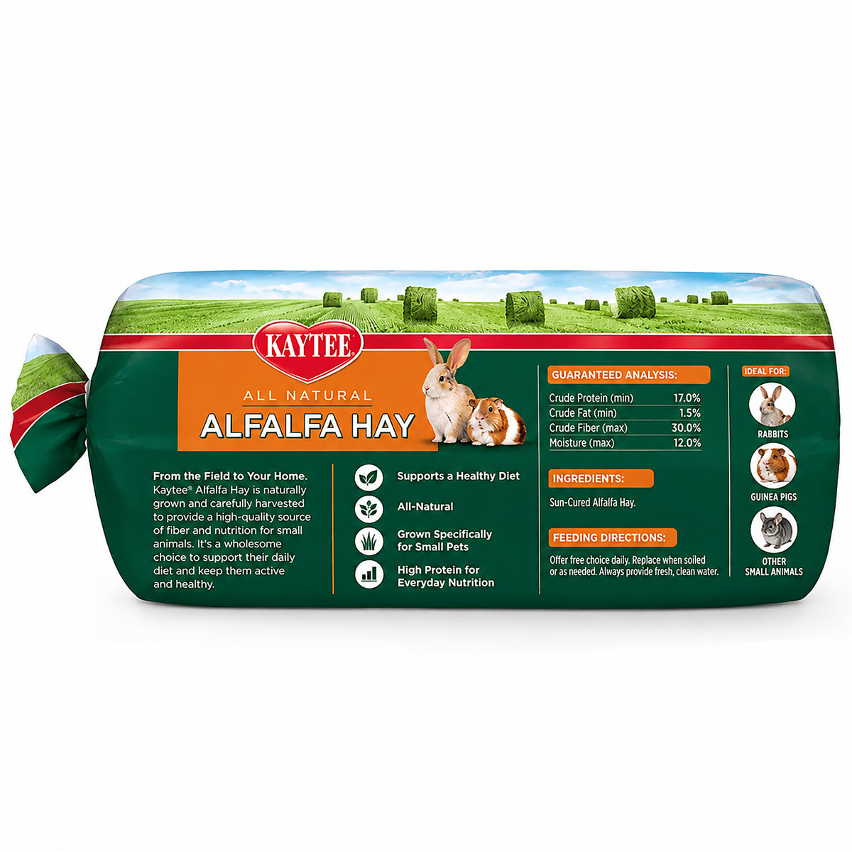 Front of Kaytee Alfalfa Mini Bale Hay for Small Animals 24-oz
