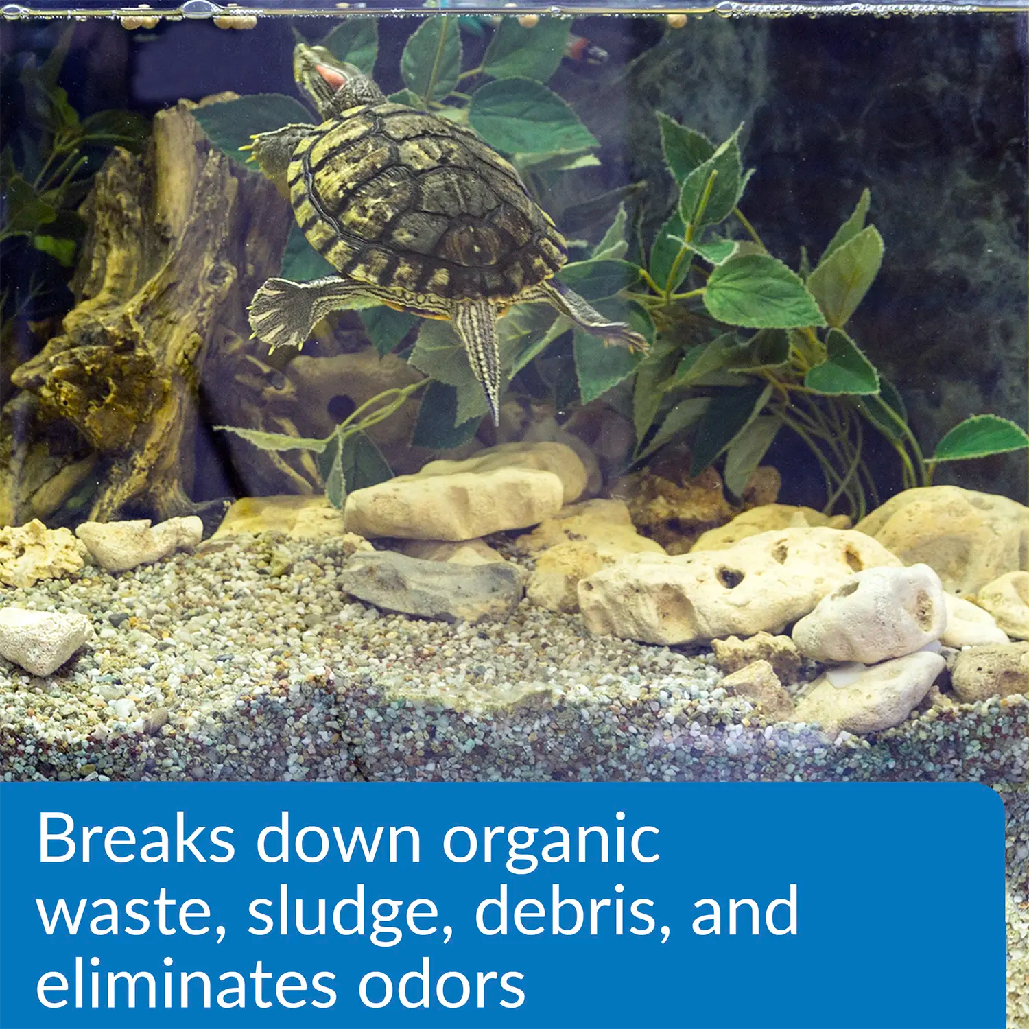 Feature of API Turtle Sludge Destroyer Aquarium Cleaner 8-oz
