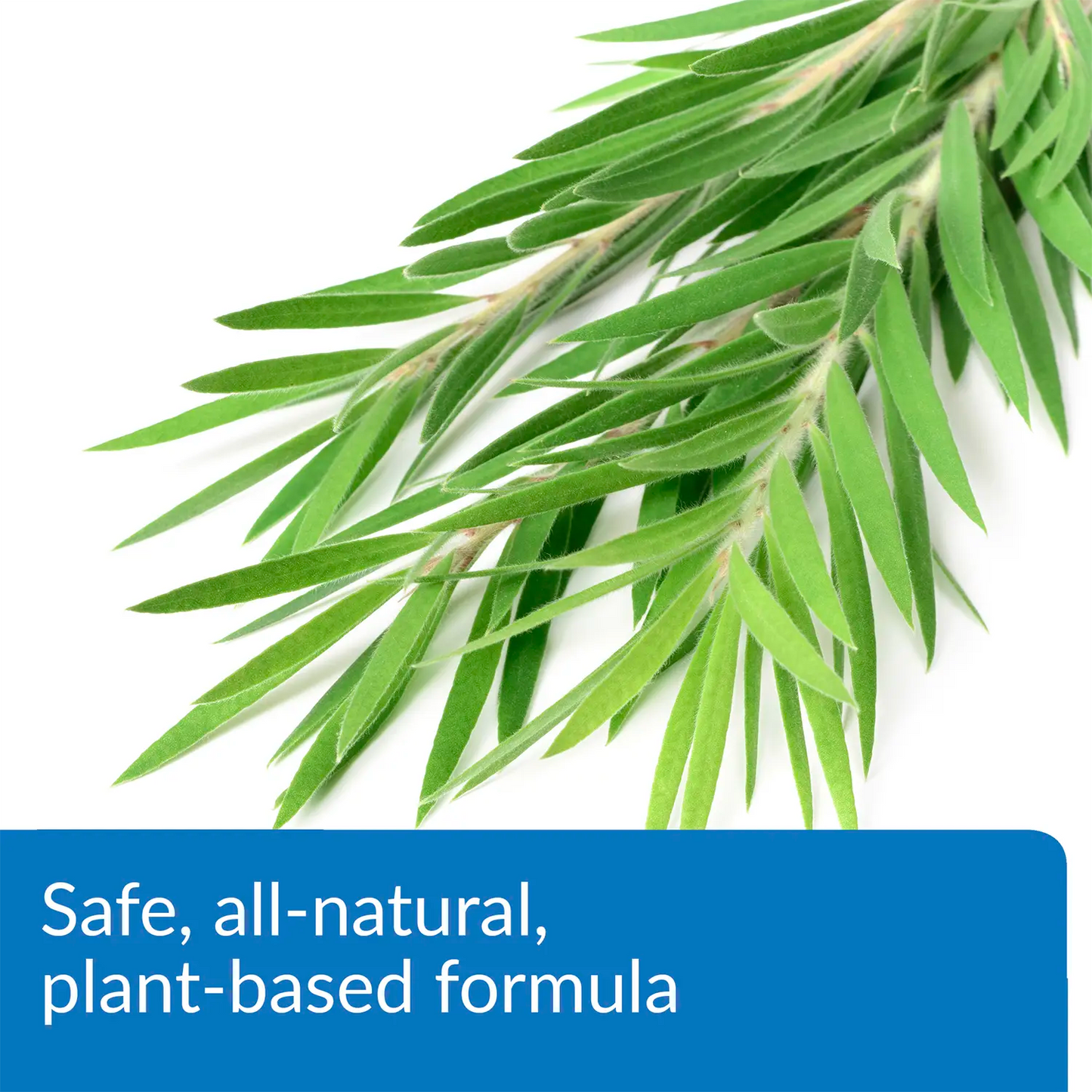 Feature 2 of API Turtle Fix Antibacterial Turtle Remedy 8-oz