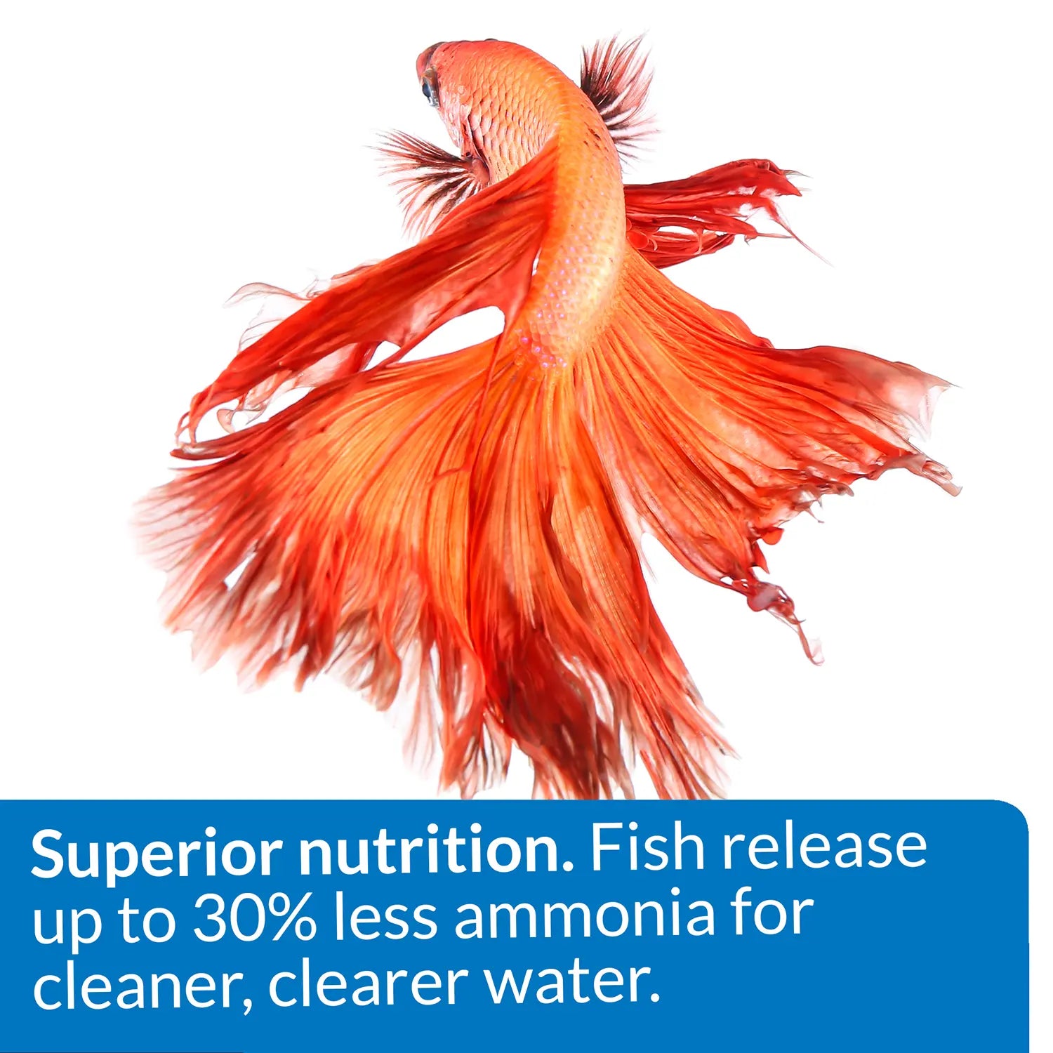Features 1 of API Betta Floating Pellets Fish Food 1-oz