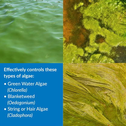 Feature 2 of API Pond AlgaeFix Algae Control Solution 8-oz