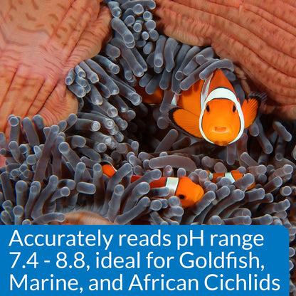 Features 1 of API High Range pH Test Kit for Freshwater & Saltwater Aquarium 160 Count