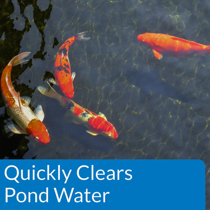 Feature 2 of API Pond Accu-Clear Aquarium Water Clarifier 16-oz