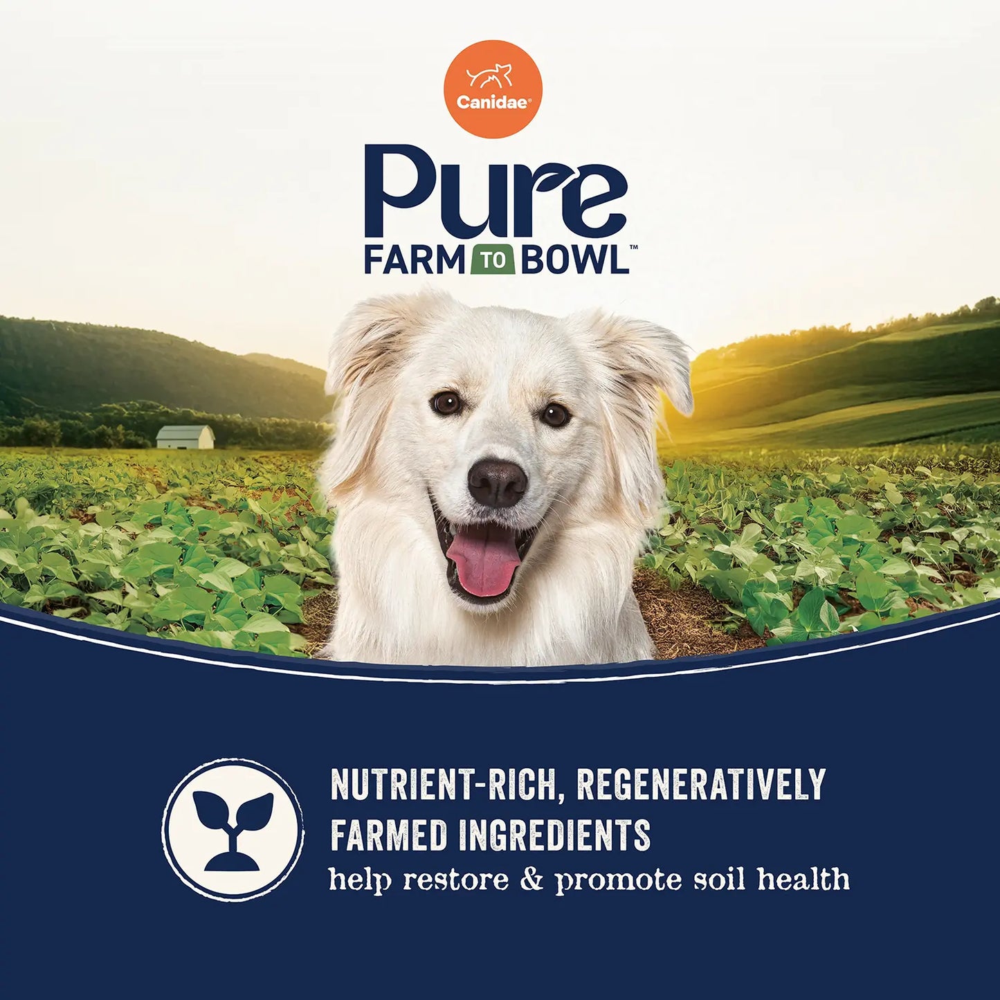 Features 2 of  Canidae Pure Goodness Grain-Free Puppy Dry Food Real Salmon & Sweet Potato Recipe 4-lb