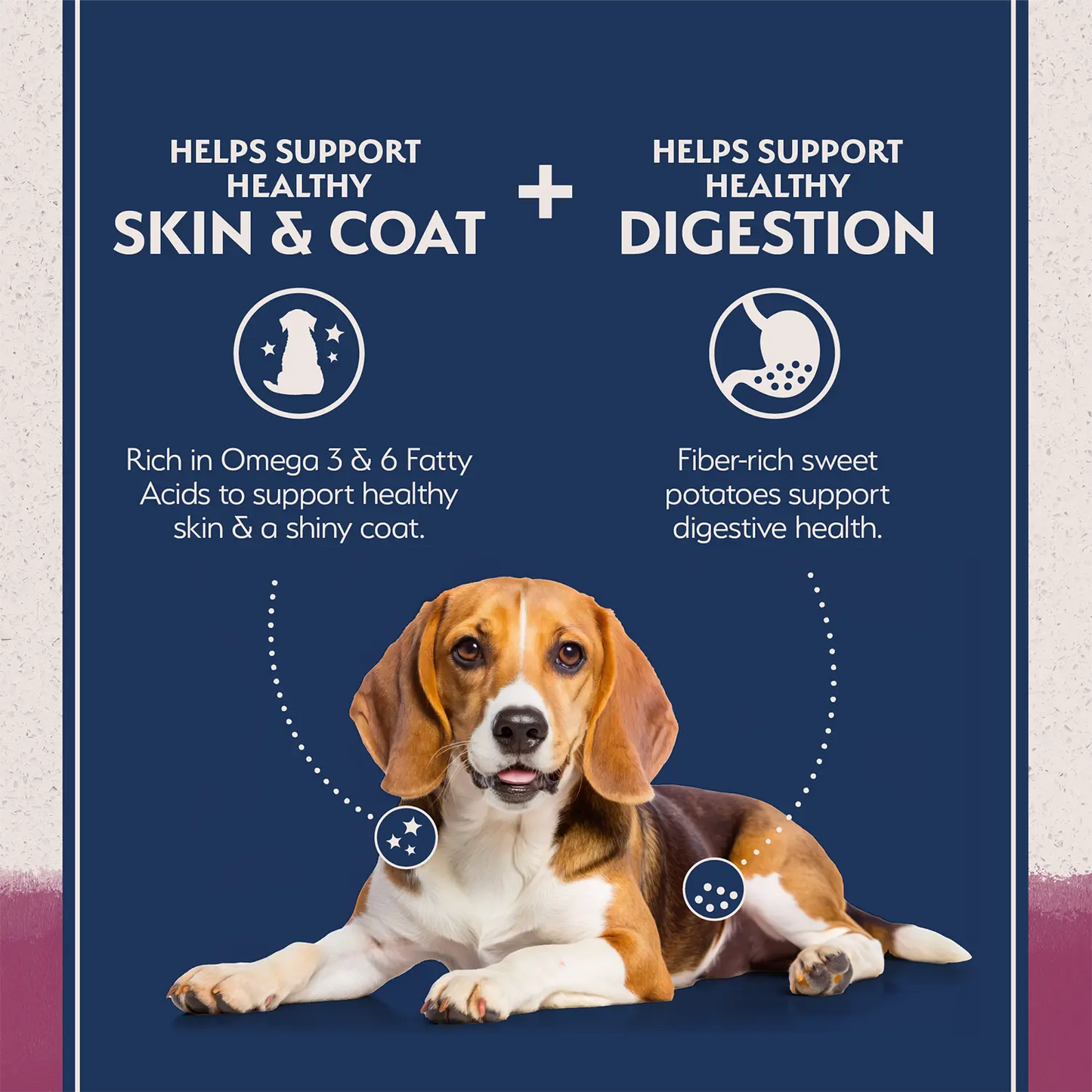 Features of Natural Balance Pet Foods Limited Ingredient Reserve Grain Free Adult Dry Dog Food Sweet Potato & Venison 22-lb