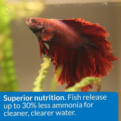 Features of API Betta Floating Pellets Fish Food 1-oz