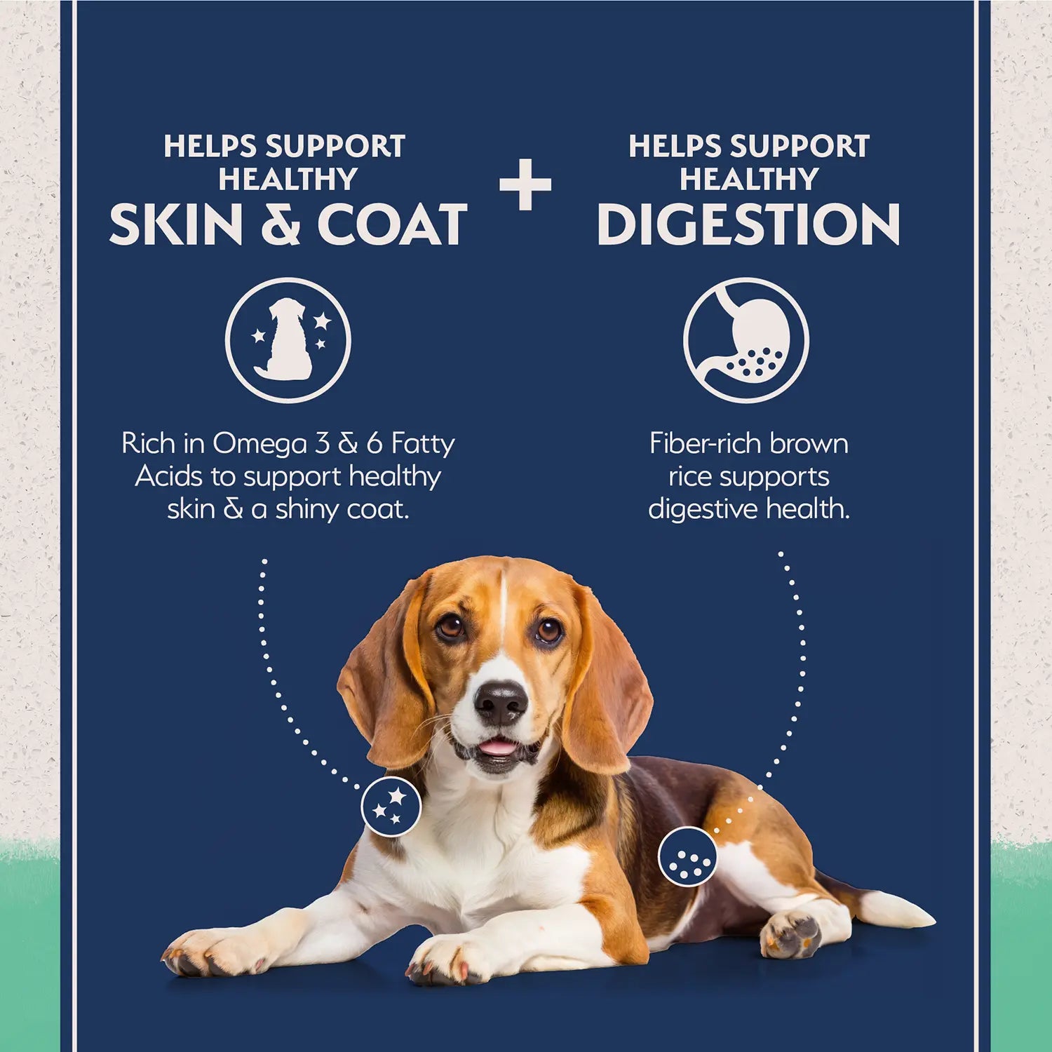 Features of Natural Balance Limited Ingredient Grain-Free Adult Dry Dog Food Chicken & Sweet Potato Recipe 24-lb