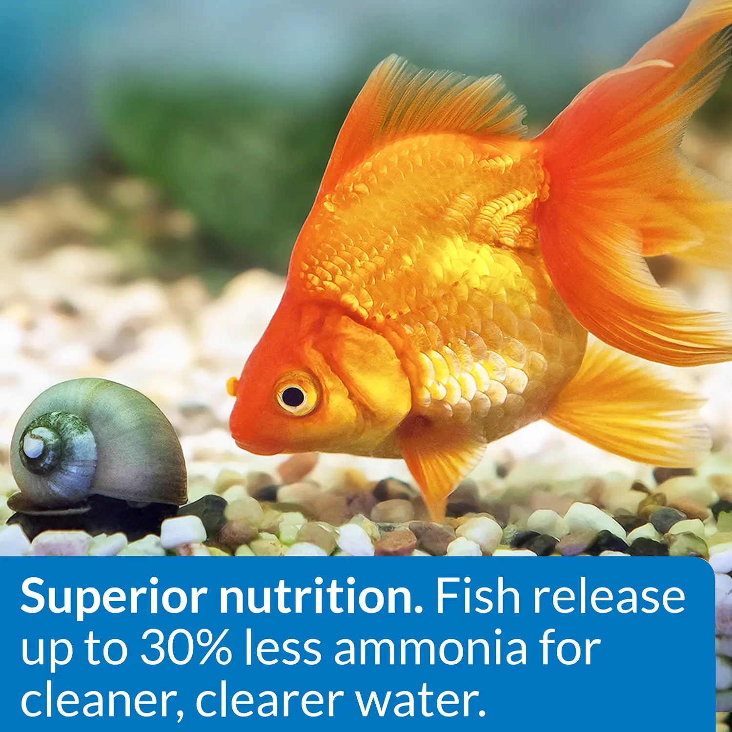 Features of API Goldfish Premium Sinking Pellets Fish Food 7-oz