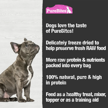 Features of PureBites Salmon Freeze-Dried Pure Dog Treats 9.5-oz