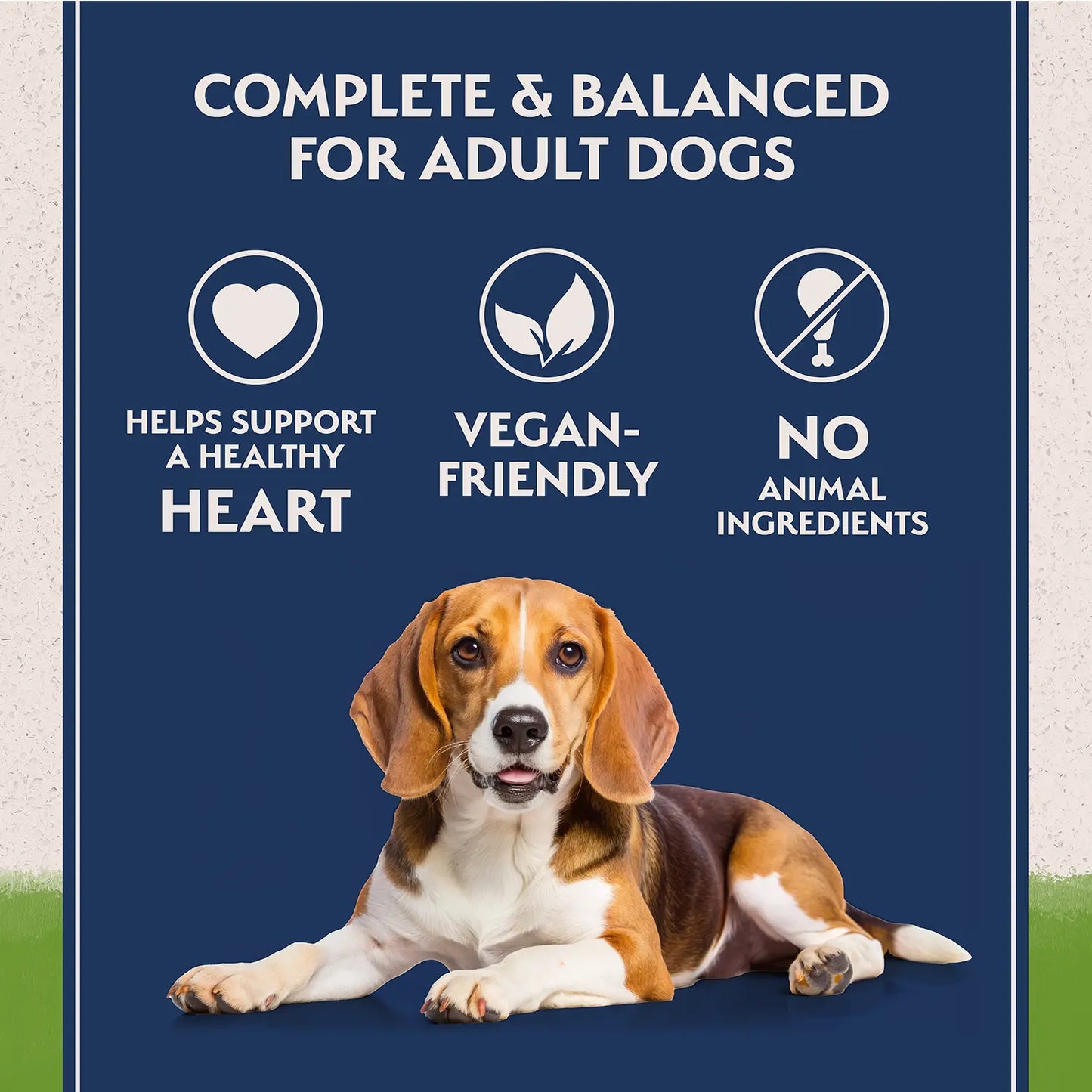 Features of Natural Balance Pet Foods L.I.D Plant Powered Vegan Friendly Vegetarian Recipe Canned Dog Food 13-oz