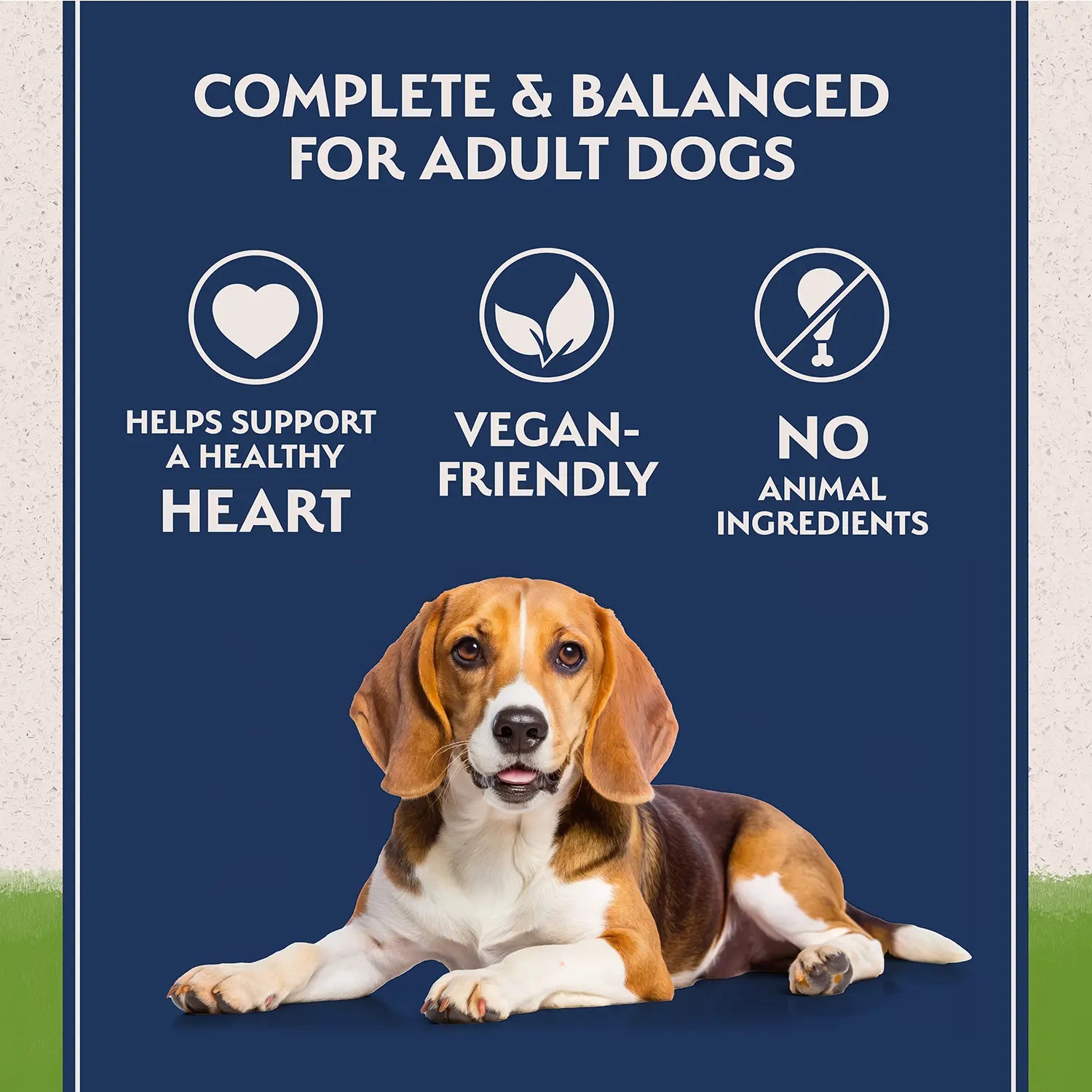 Features of Natural Balance Pet Foods L.I.D Plant Powered Vegan Friendly Vegetarian Recipe Canned Dog Food 13-oz