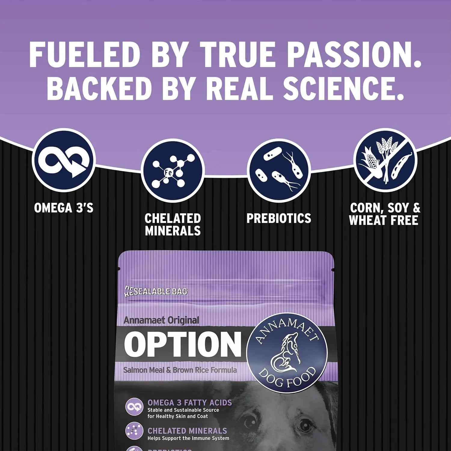 Features of Annamaet Original Option Dry Dog Food Salmon Meal & Brown Rice Formula 12-lb