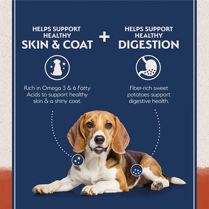 Features of Natural Balance Pet Foods Limited Ingredient Adult Dry Dog Food Salmon & Sweet Potato 12-lb