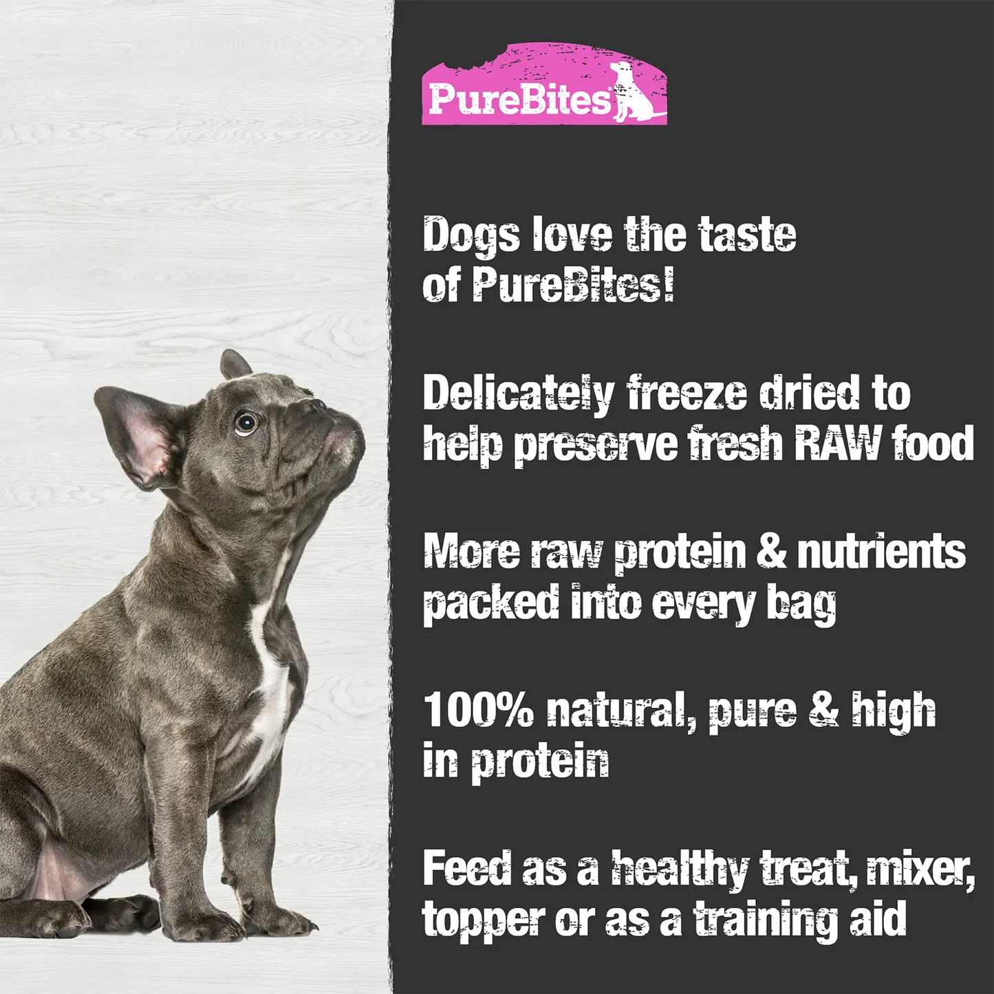 Features of PureBites Salmon Freeze-Dried Pure Dog Treats 2.47-oz