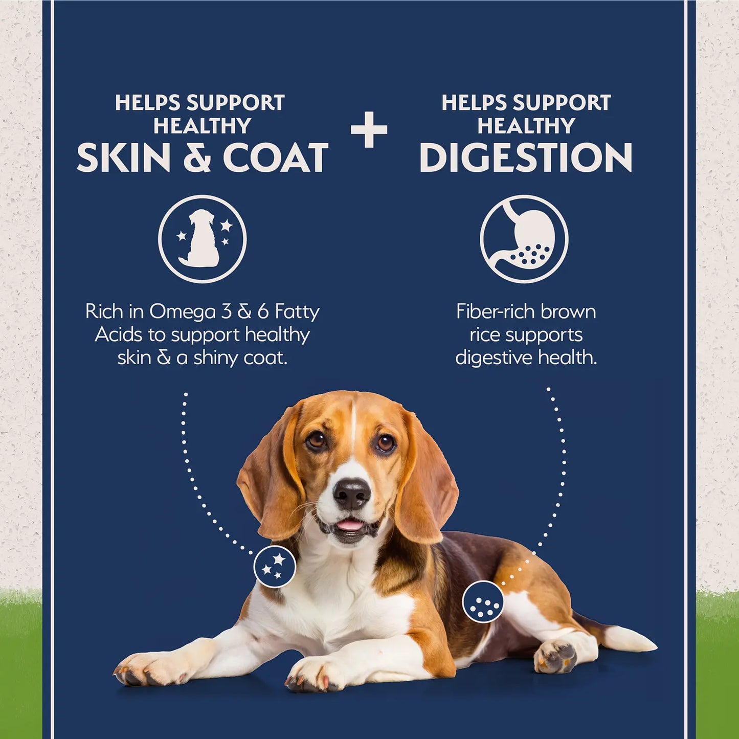 Features of Natural Balance Pet Foods L.I.D Plant Powered Vegan-Friendly Vegetarian Recipe Dry Dog Food 4-lb