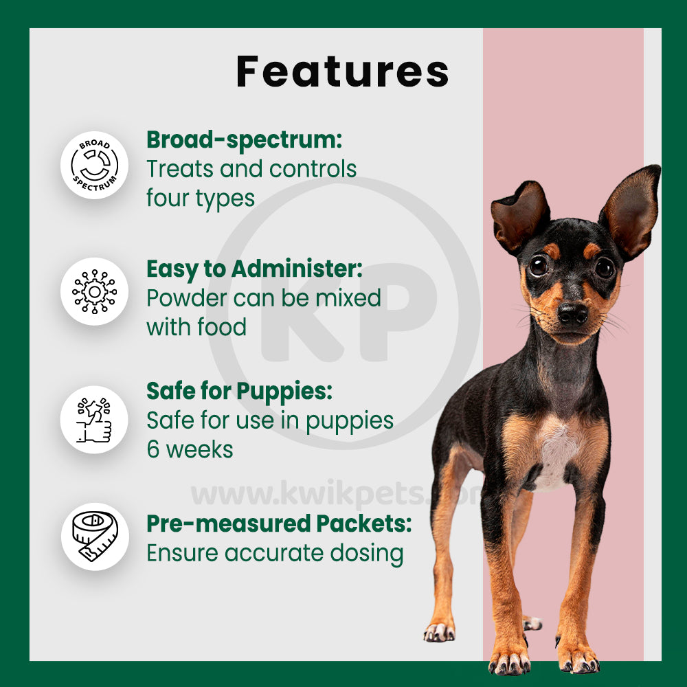 Features of Safe Guard Canine Dewormer for Dogs, 4gm pouch