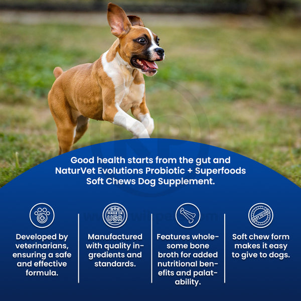 Features of Evolutions by NaturVet Probiotic Plus Superfoods Digestive Support Soft Chews for Dogs 90 Count 6.9-oz