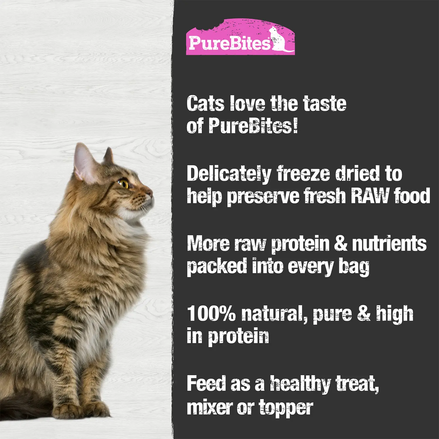 Features of PureBites Wild Pacific Salmon Freeze-Dried Cat Treats 0.92-oz