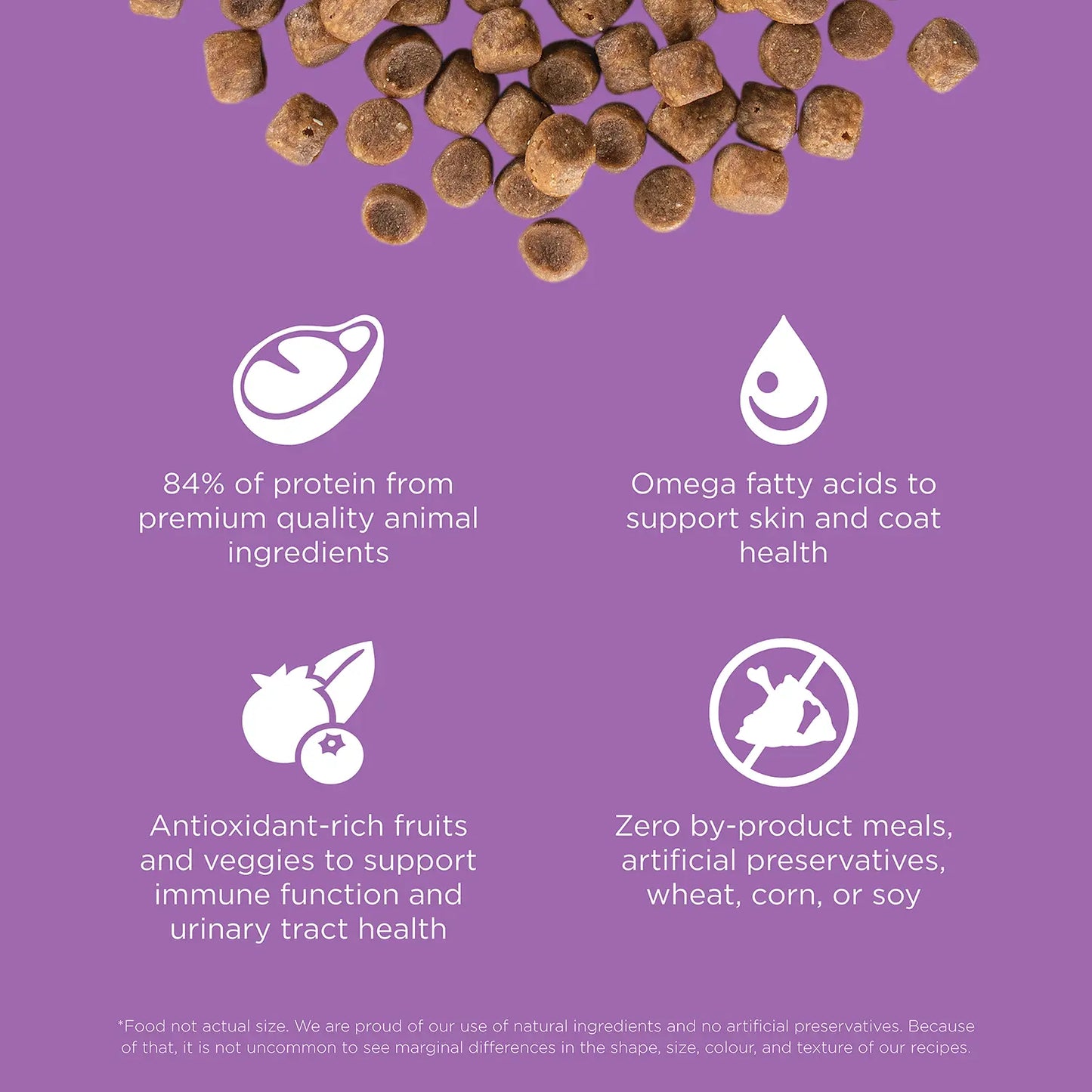 Features of Petcurean Go! Solutions Carnivore Grain-Free Dry Cat Food Chicken Turkey & Duck Recipe 3-lb