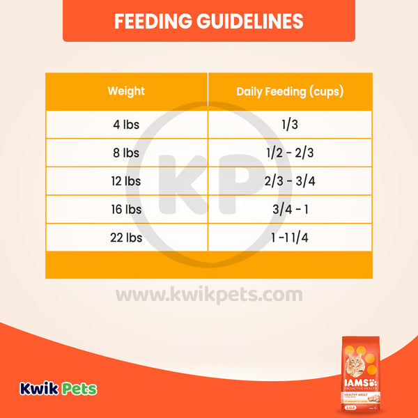 Feeding Guidelines of IAMS Proactive Health Adult Dry Cat Food Chicken 3.5-lb