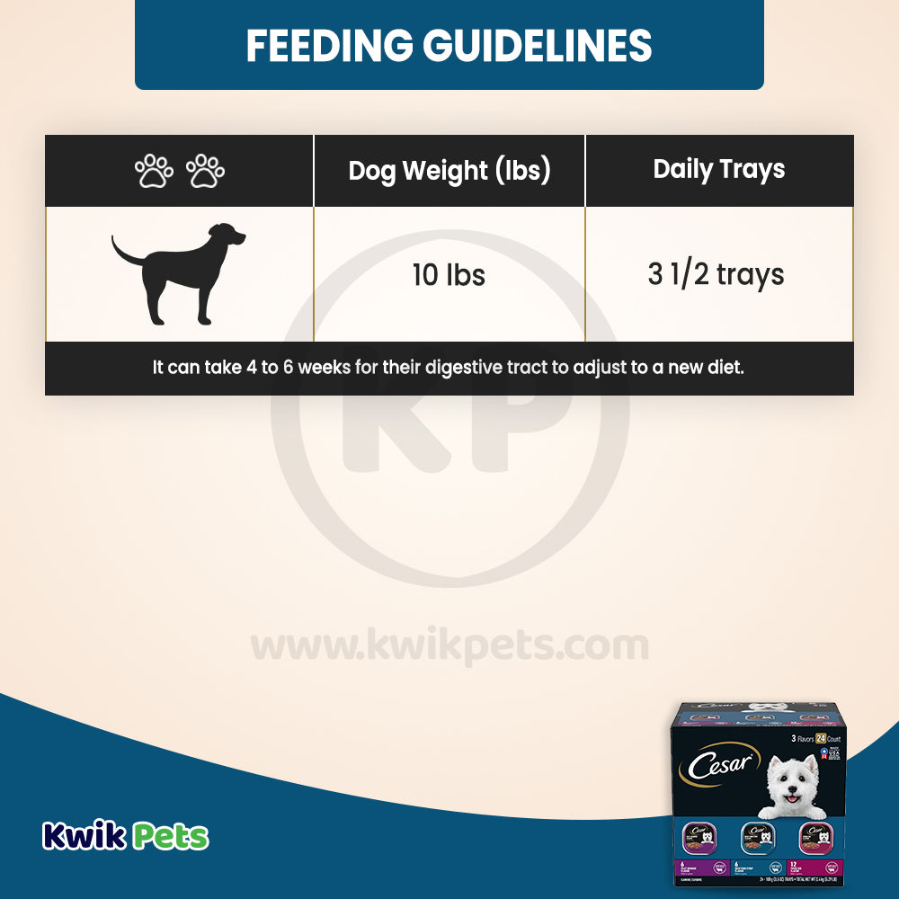 Cesar Filets in Gravy Adult Wet Dog Food Variety Pack Prime Rib, Filet Mignon, New York Strip 24 Count 3.5-oz, Kwik Pets