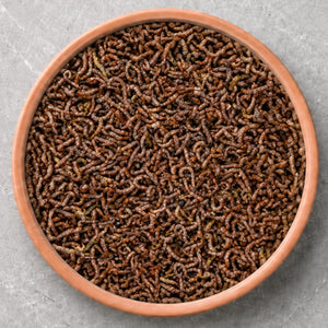 Freeze-Dried  Food