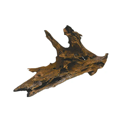 Front-2 of Zilla Malaysian Driftwood