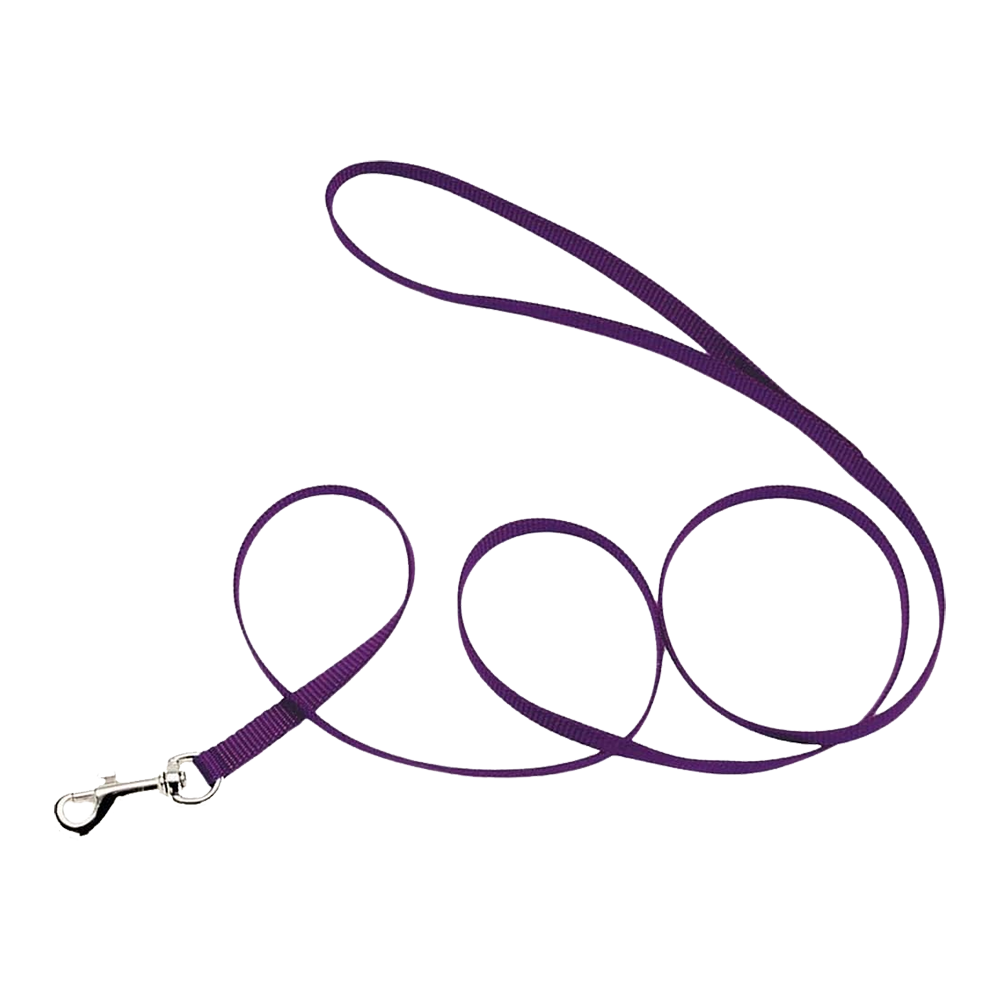Front of Coastal Single-Ply Nylon Dog Leash Purple 3/8 in X 6 ft