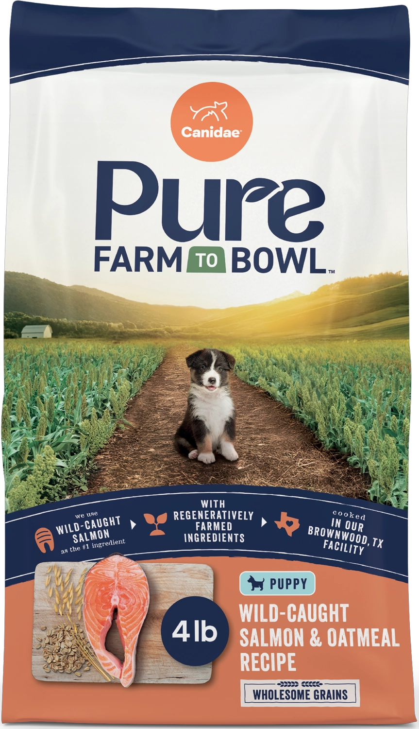 CANIDAE PURE Goodness Wholesome Grains Puppy Dry Food Real Salmon & Oatmeal 4-lb
