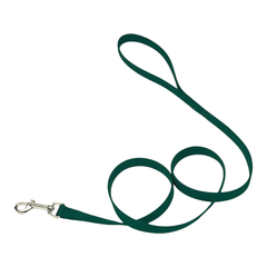 Coastal Single-Ply Nylon Dog Leash Hunter Green 3/8 in X 6 ft
