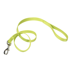 Coastal Single-Ply Nylon Dog Leash Lime 1 in X 6 ft